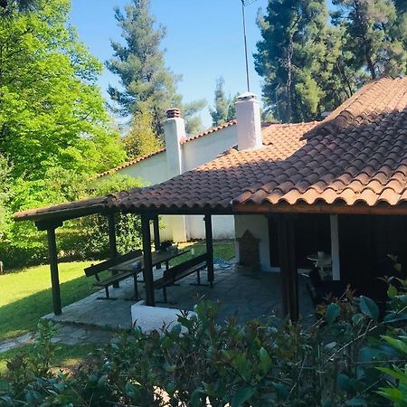Sani Garden House Βίλα Εξωτερικό φωτογραφία