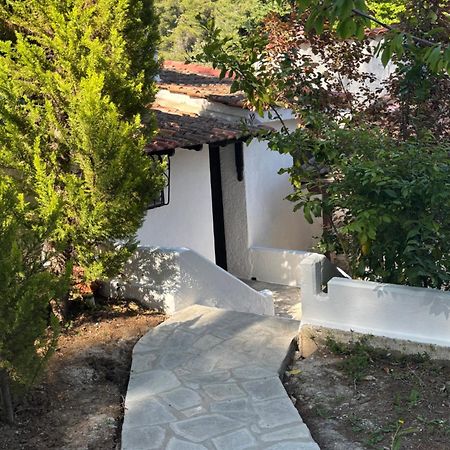 Sani Garden House Βίλα Εξωτερικό φωτογραφία