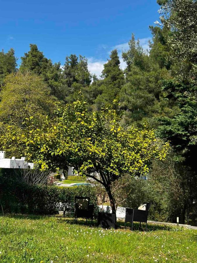 Sani Garden House Βίλα Εξωτερικό φωτογραφία